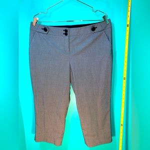 The Limited - Dress Capris - Size 14